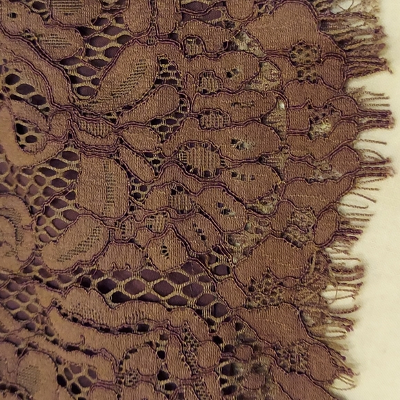 ! Wishlist lace dress, lined, frayed edge,  medium NWT  , mocha - Picture 3 of 11